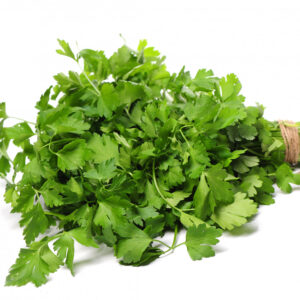 Coriander