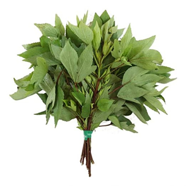 Red Gongura