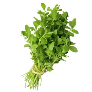 Methi