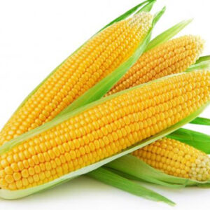 Sweetcorn